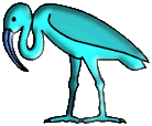 blue ibis of Thoth